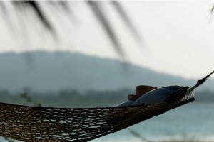 Hammock