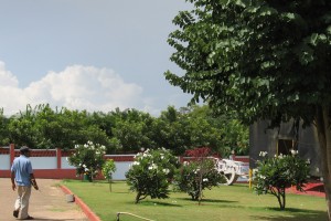 Lawns
