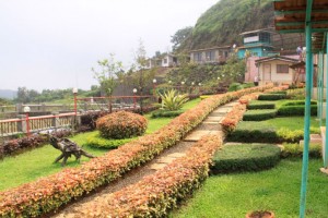 Lush green lawns Lush green lawns