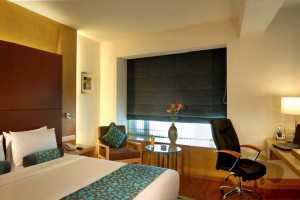 Luxurious Room Luxurious Room