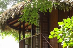 Tree house3