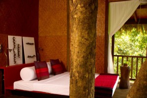 Accommodation