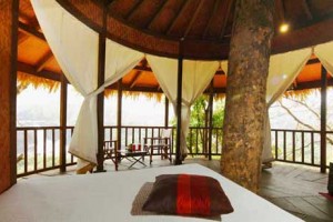 Tree house1