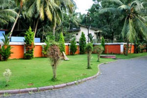 Garden area