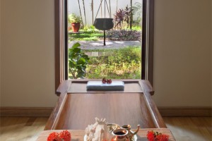 Ayurvedic centre