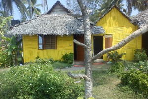Cottage view