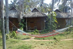 Cottage view1
