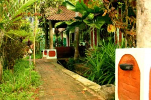 Garden view cottage