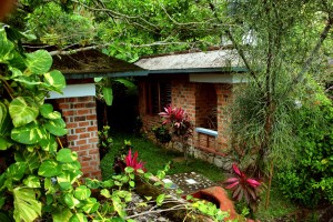 Hillside cottage1