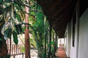 Pathway