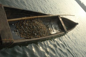 Back-water Back-water