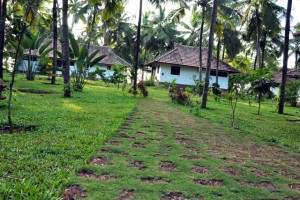 Pathway-&-cottage-view Pathway-&-cottage-view