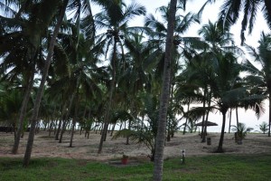 Land-scape Land-scape