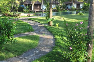 Pathway Pathway