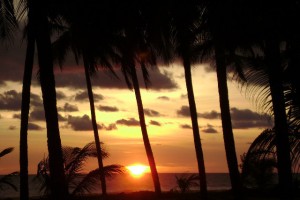 SUN-SET-1 SUN-SET-1