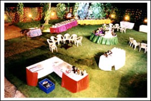 Business Lawn Business Lawn
