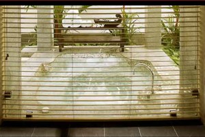 Bathtub