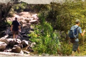 Hiking_Trails- Hiking_Trails-