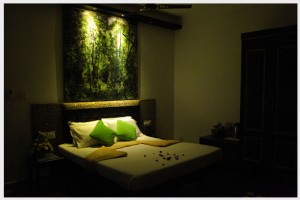 Exicutive room2