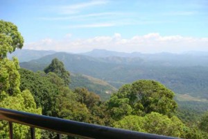 View from room