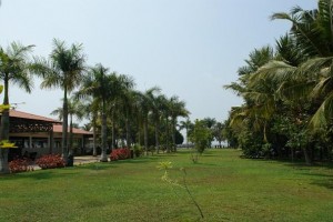 Lawn