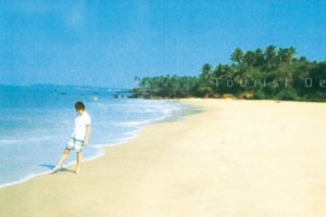 Enjoying by the beach