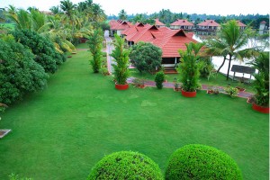 Lawn Lawn