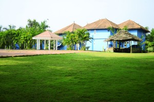 Amidst Nature Amidst Nature