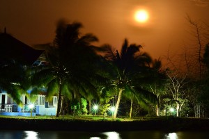 Resort by Night Resort by Night