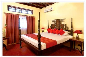 Room Room