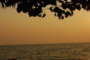 Sunset View