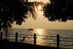 Lake view