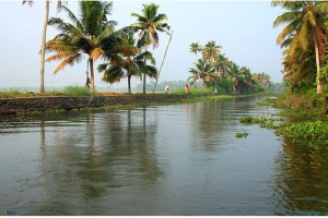 Surrounding of the Resort