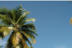 Kumarakom Lagoon View