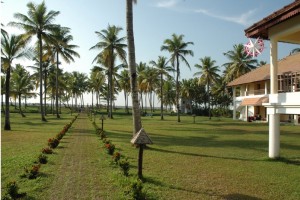 Lawn