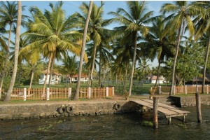 Resort View