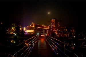 Entrance View at Night