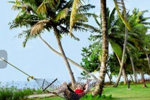 Hammock