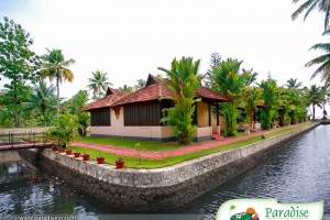Lakeside View