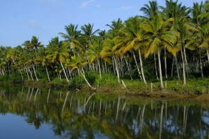 Backwaters Backwaters