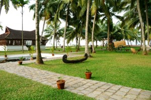 Lawn