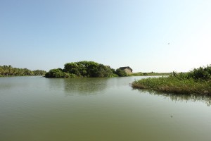 Scenic view