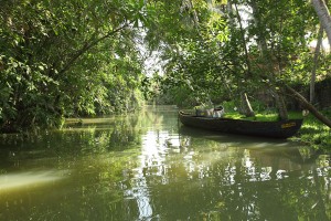 Backwaters