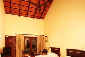 Double Bedded Room Double Bedded Room