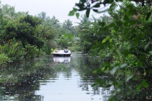 Pedal Boating