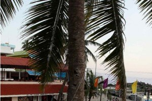 Hotel premises Hotel premises