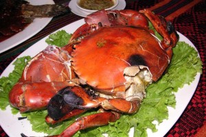 Cuisine3 Cuisine3