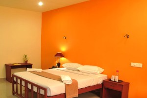 Room Room