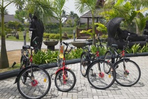 Cycles Cycles