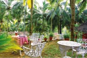 Dining amidst nature Dining amidst nature